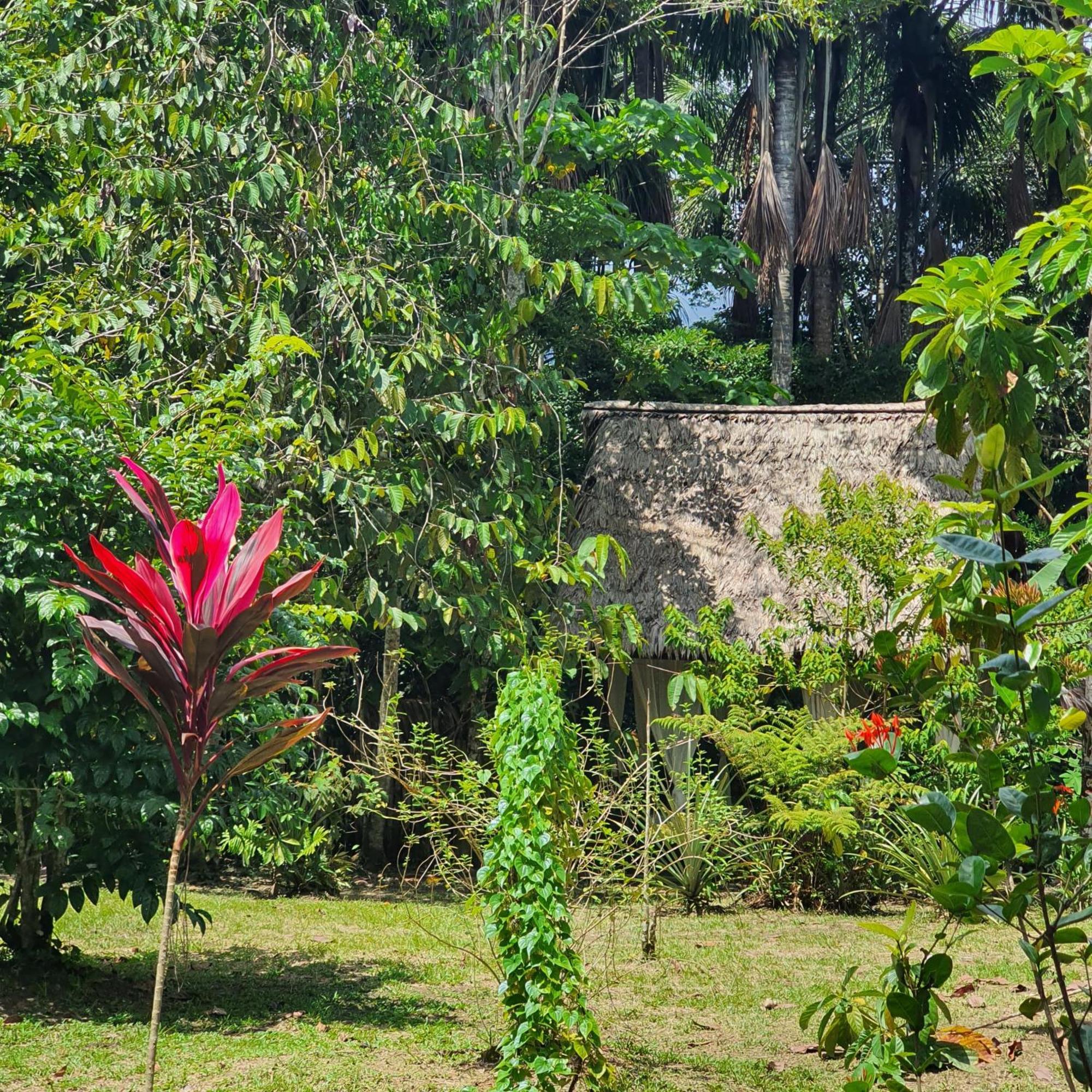 Amazona Lodge Leticia Exterior foto