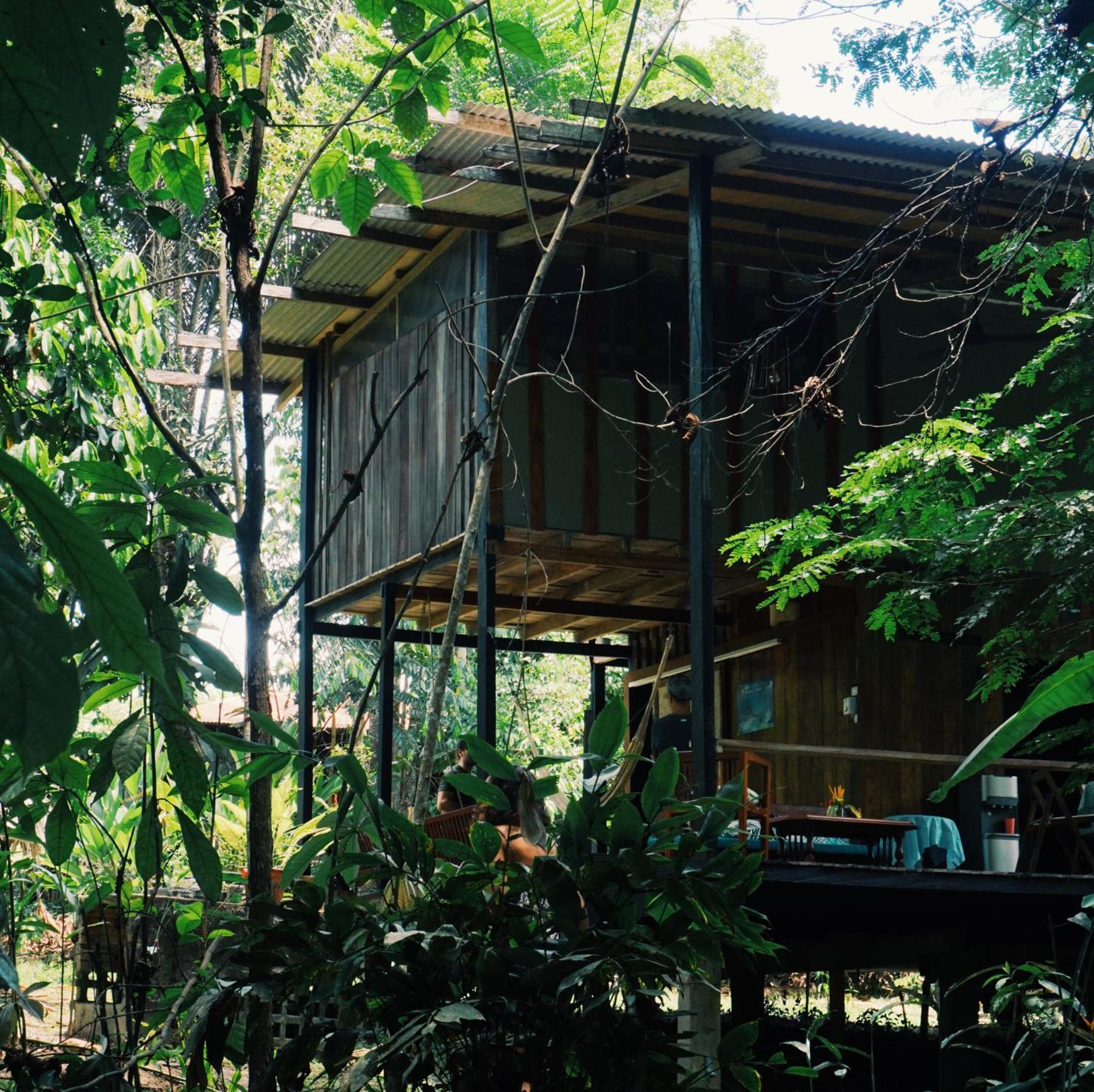 Amazona Lodge Leticia Exterior foto